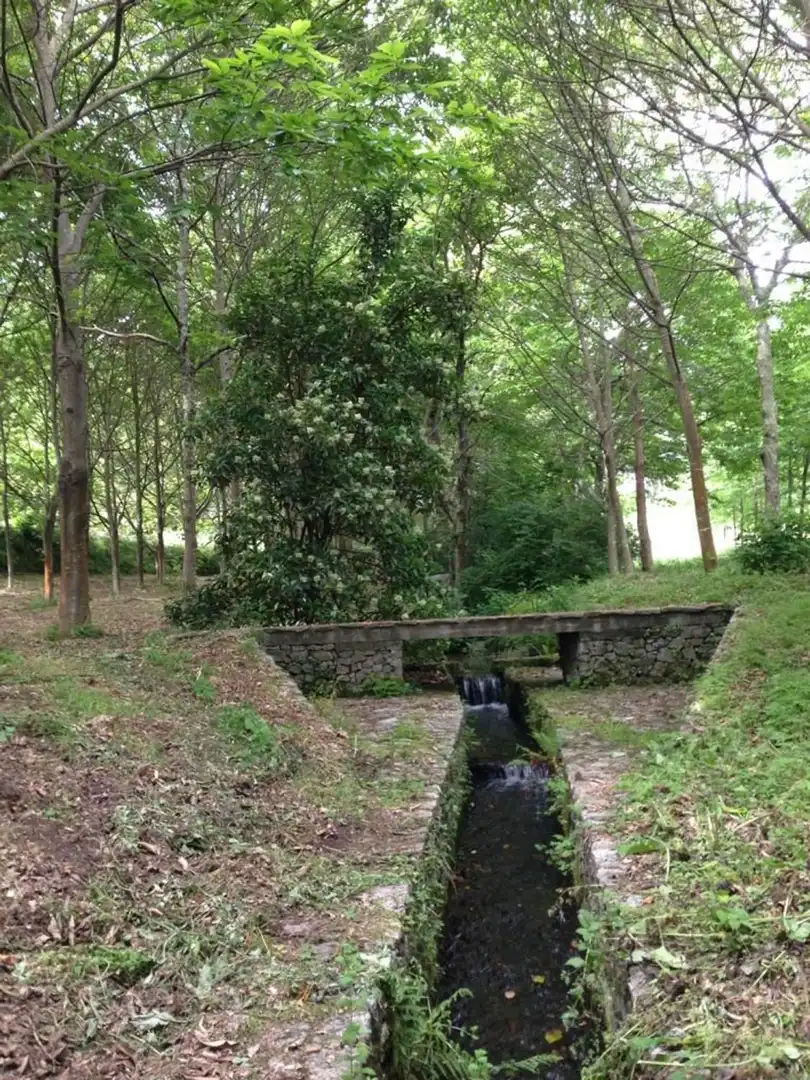 Rural land for sale in Parroquias Rurales, imagen 14