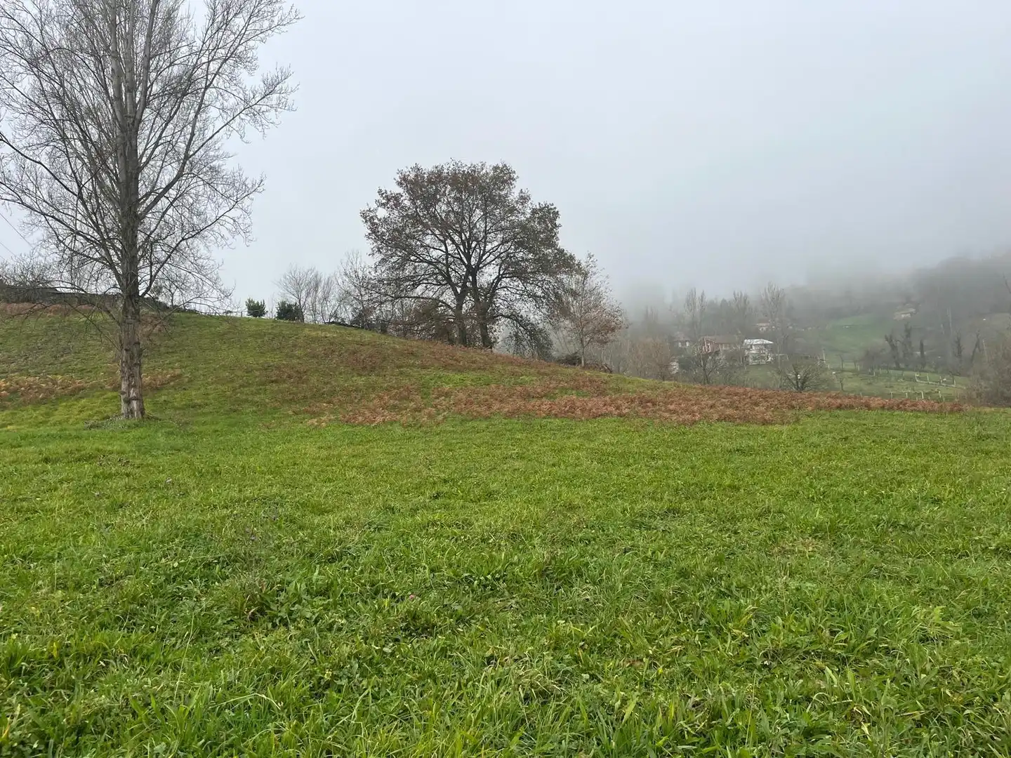 Residential land for sale in Polígono 11 Parcela 298 MATA LA FAME. LANGREO (AS 11, imagen 7