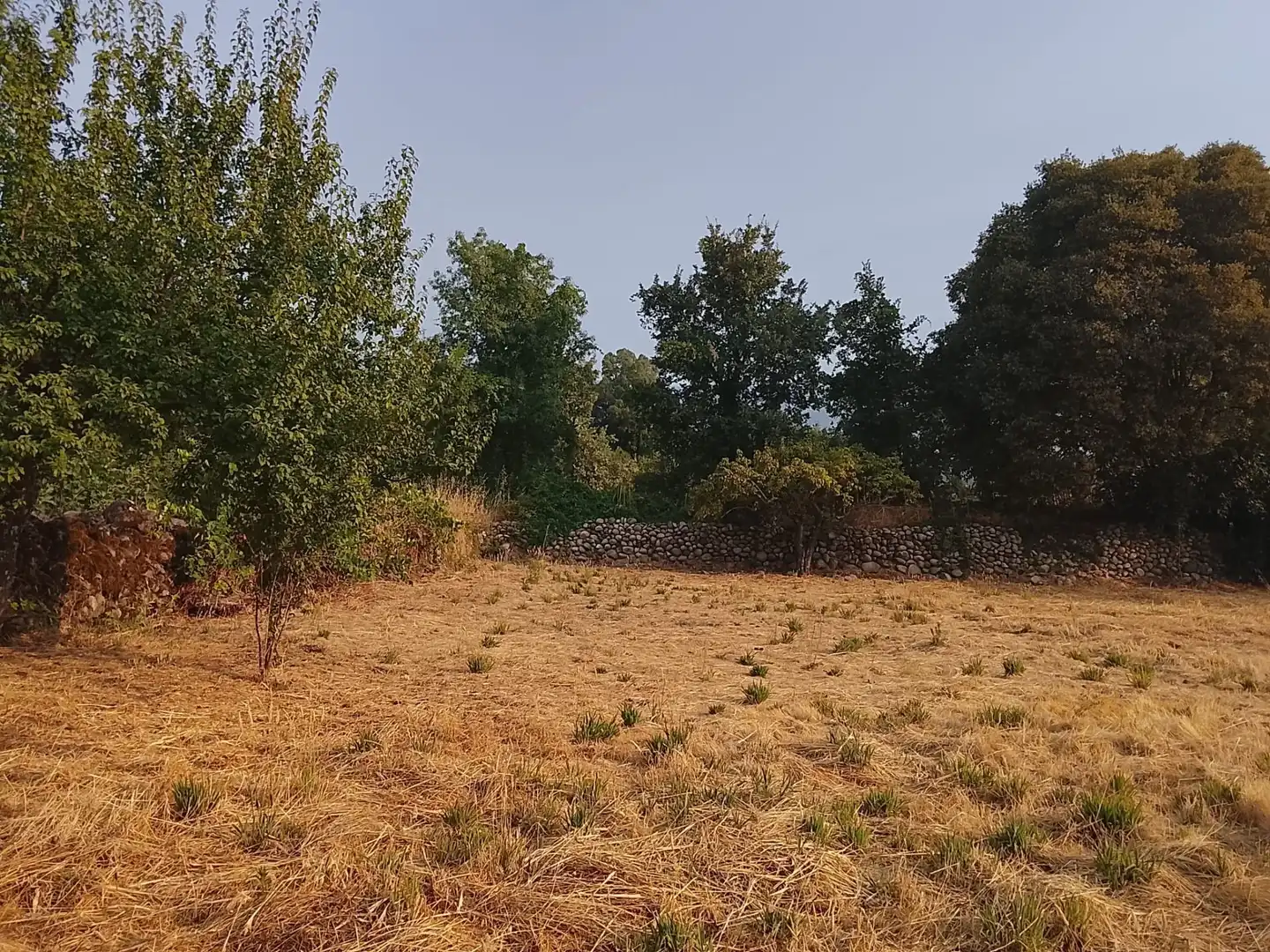 Terreni e lotti in vendita a Villanueva de la Vera, imagen 8