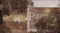 Jardí de Casa o xalet en venda en Boadilla del Monte amb Aire condicionat, Calefacció i Jardí privat