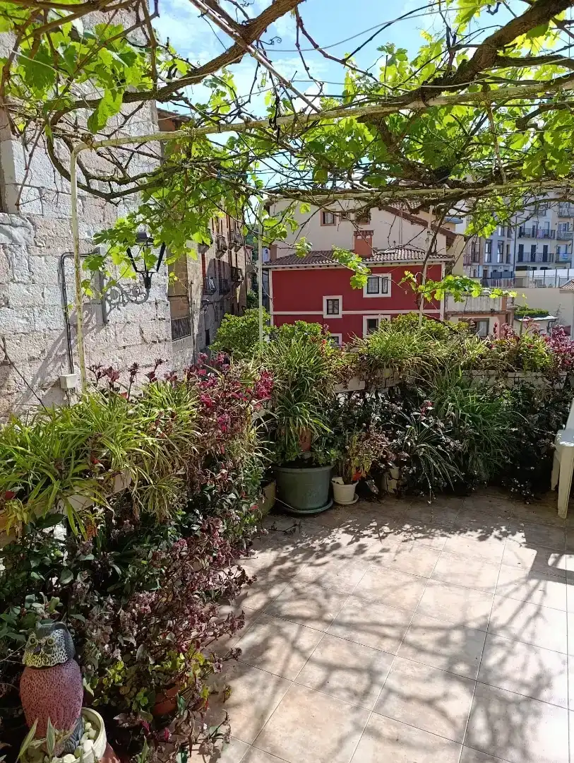 Terrassa de Pis en venda en Zumaia
