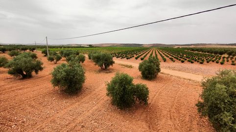 Finca Rúst. en venta en Carretera Moral., imatge 3