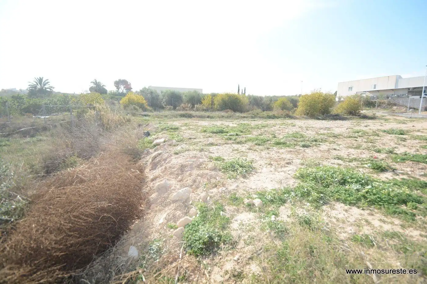 Industrial land for sale in Bigastro