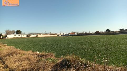 TERRENO PINSEQUE, Bild 3