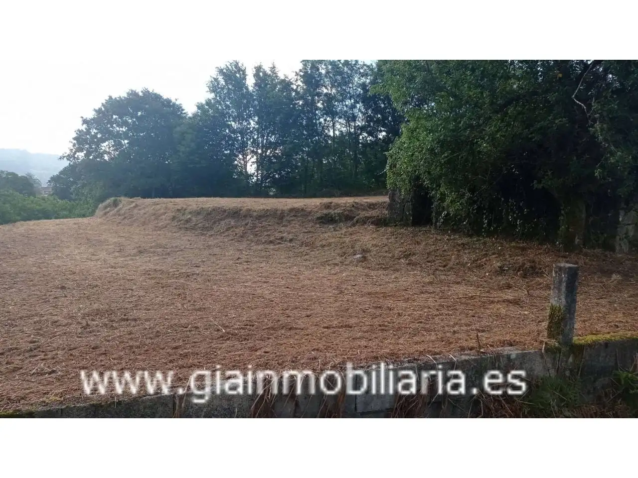 Terrenys i solars en venda a Calle Arcos, imagen 2