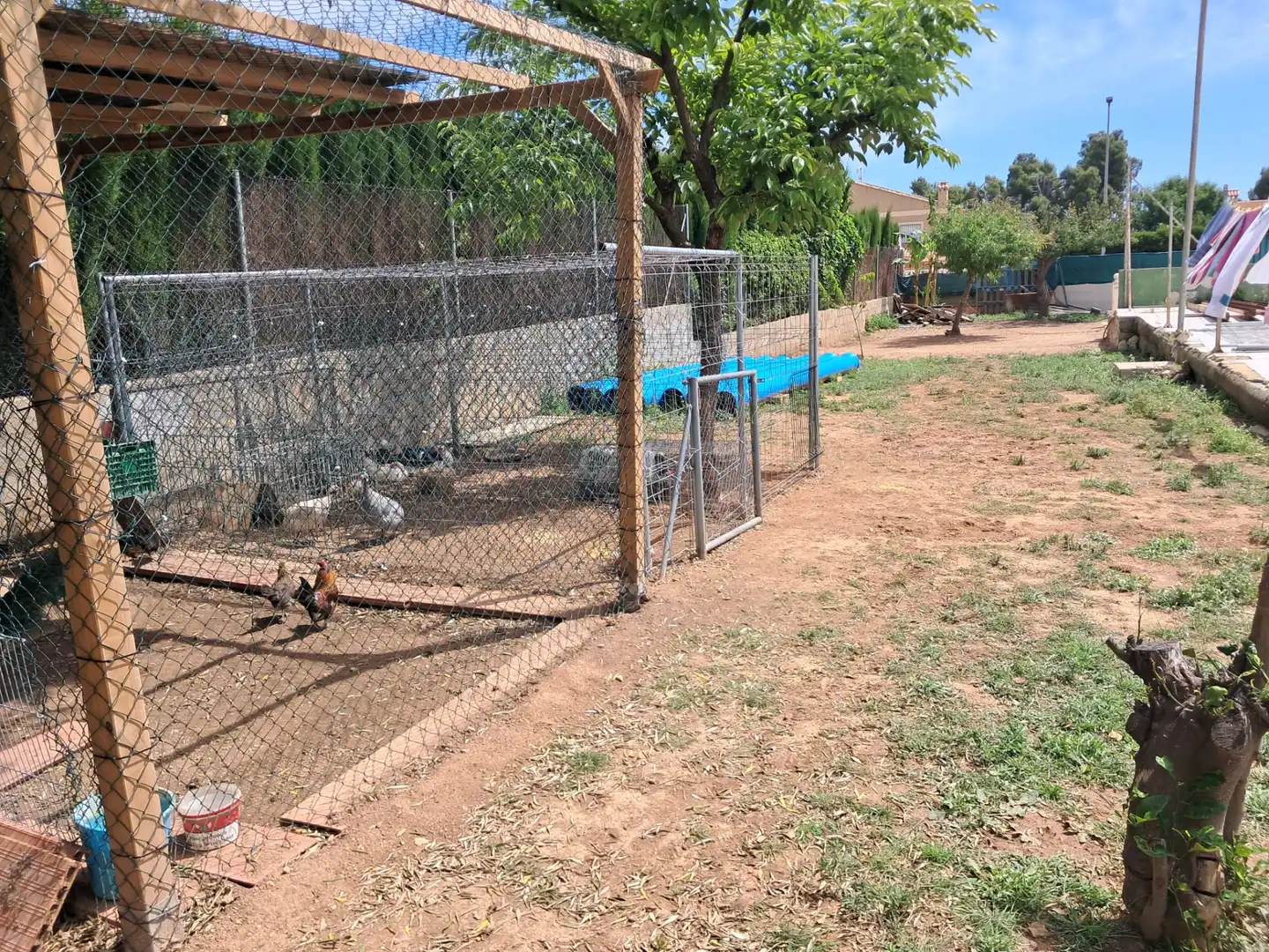 Villa avec piscine à vendre à Calle 18, imagen 27