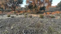 Finca rústica en venda en Brunete