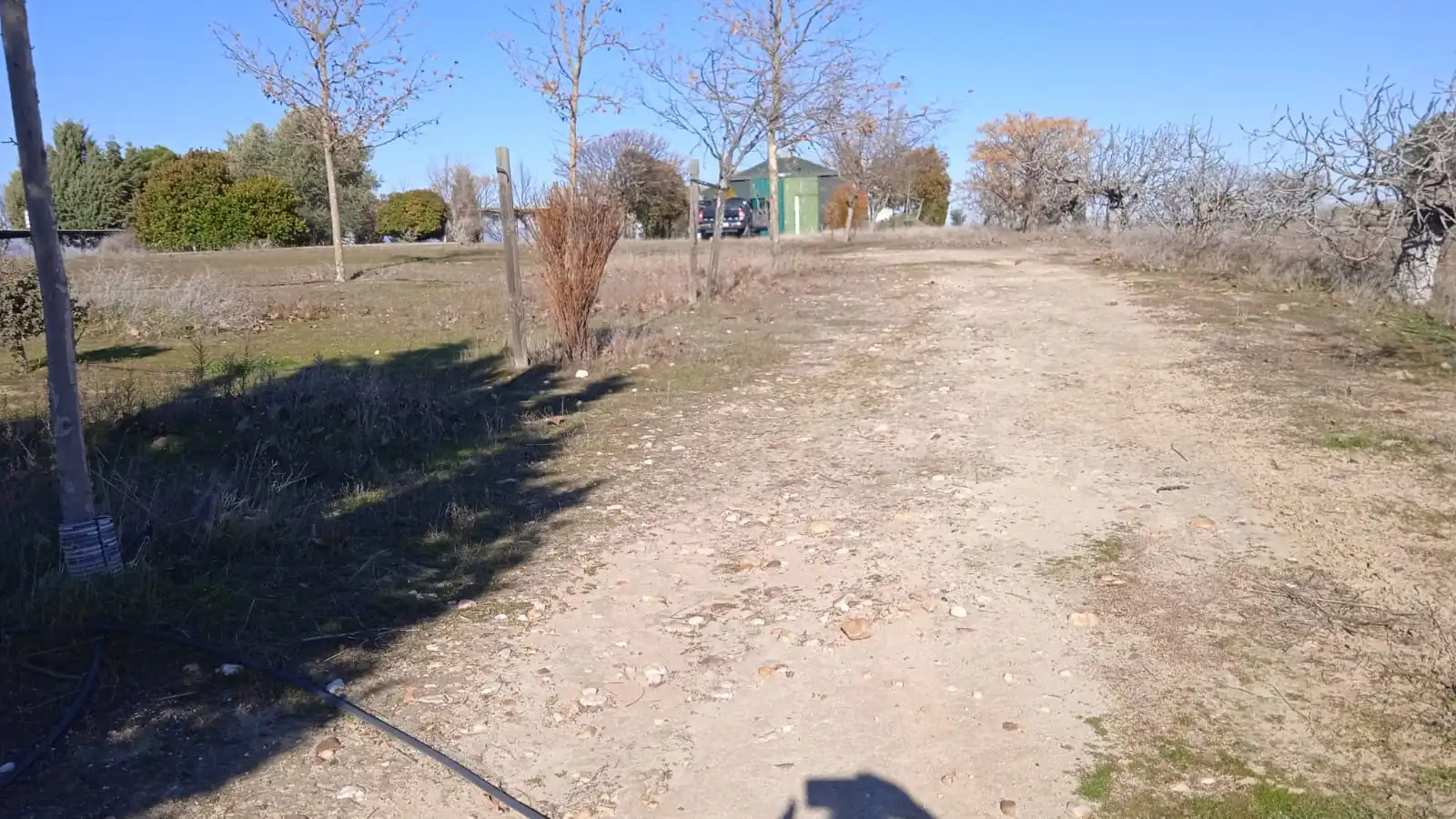 Terreno en venta en Illán de Vacas