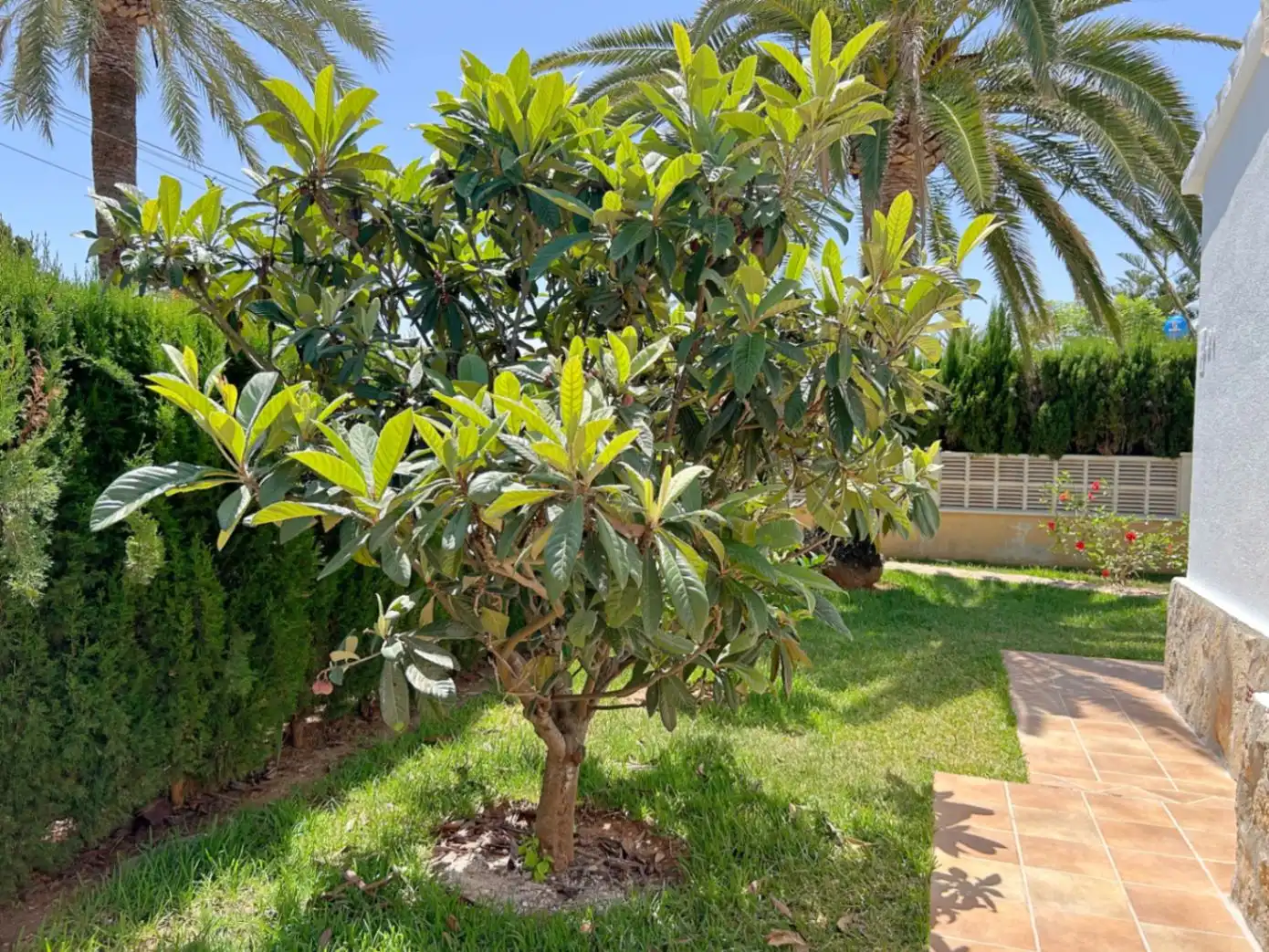 Garden of Houses for sale in Els Poblets  with Air Conditioner, Heating and Terrace