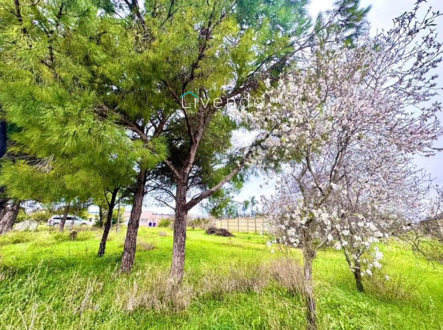 Casa o xalet en venda en Chiclana de la Frontera amb Aire condicionat i Traster