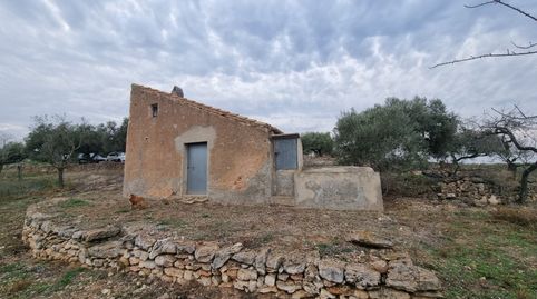 Económica Finca, con antigua caseta de campo de 25 M2 en El Perello