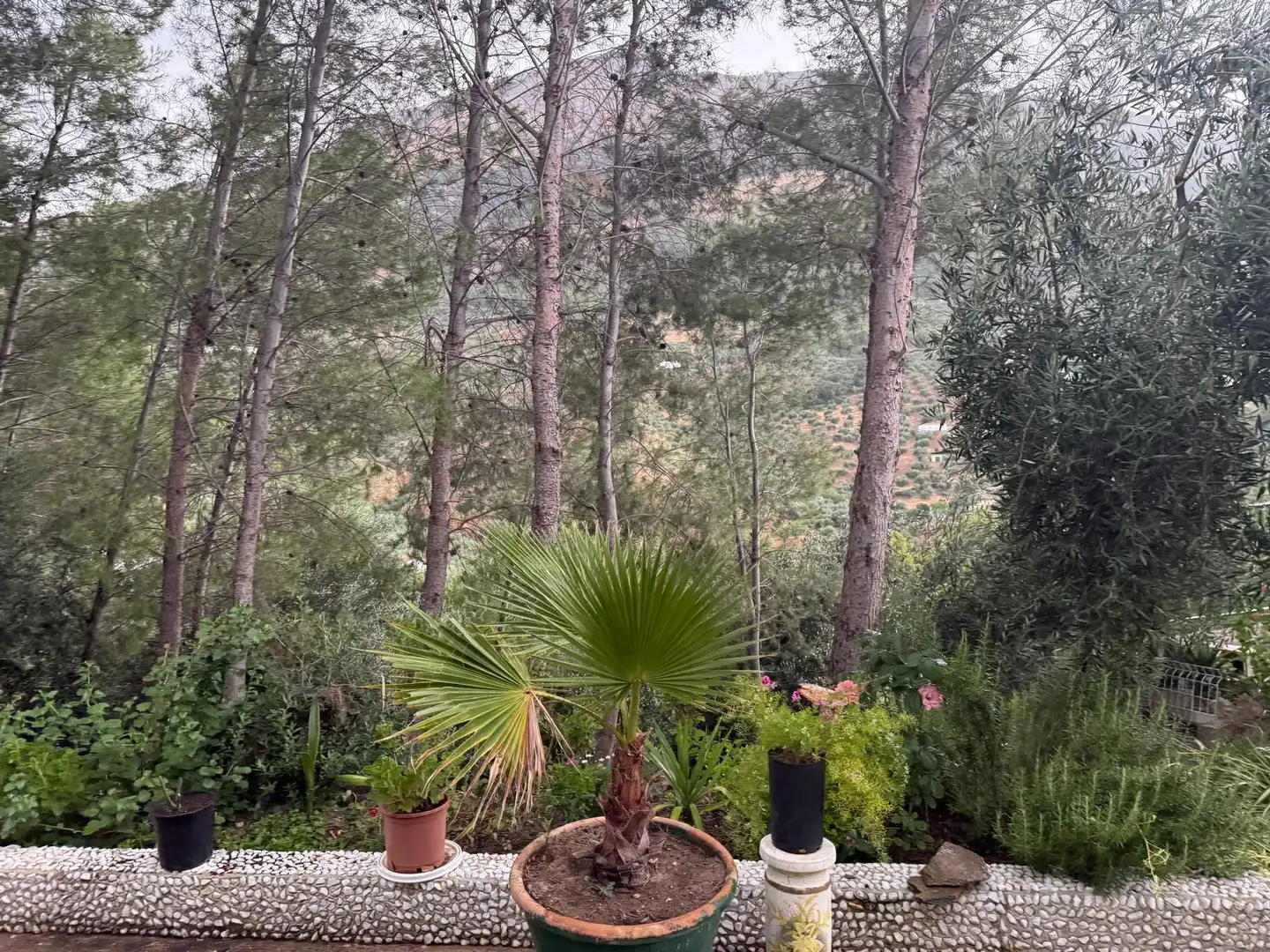 Garten von Country house zum Verkauf in Jaén mit Privatgarten, Terrasse und Schwimmbad