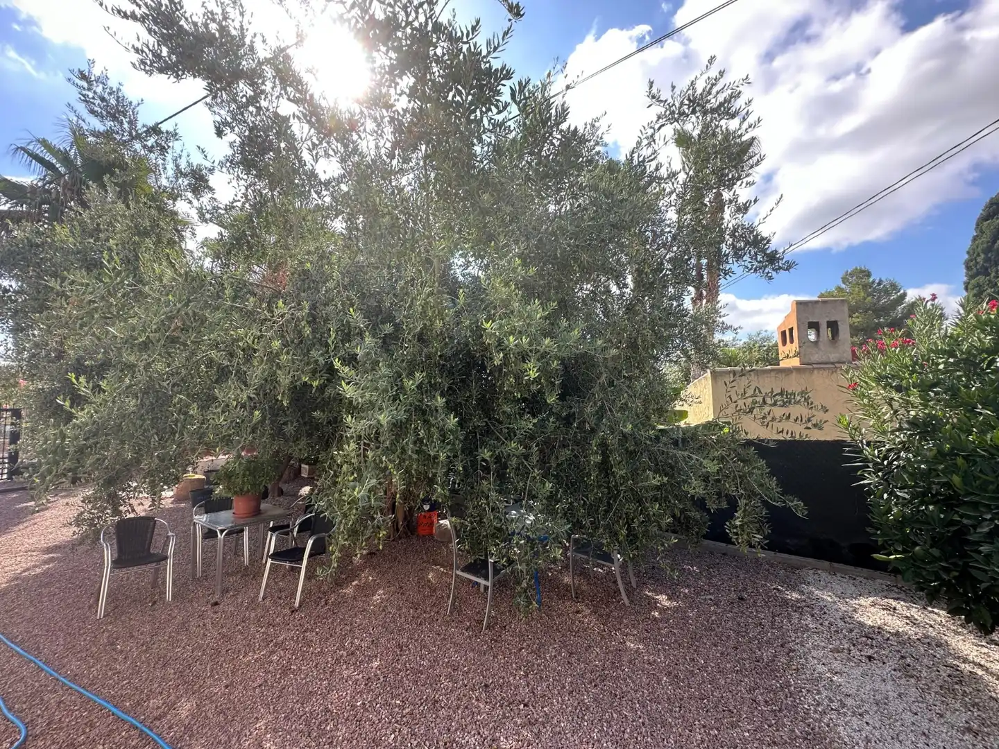 Casa con giardino in vendita a Crevillent, imagen 31