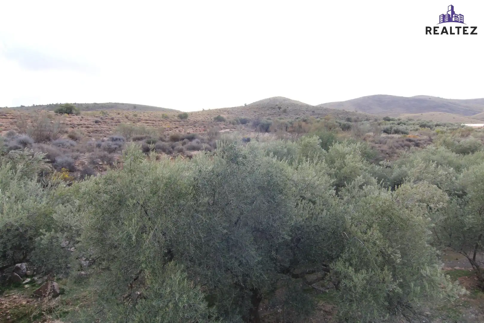 Terrain rustique à vendre à Alcolea, imagen 11