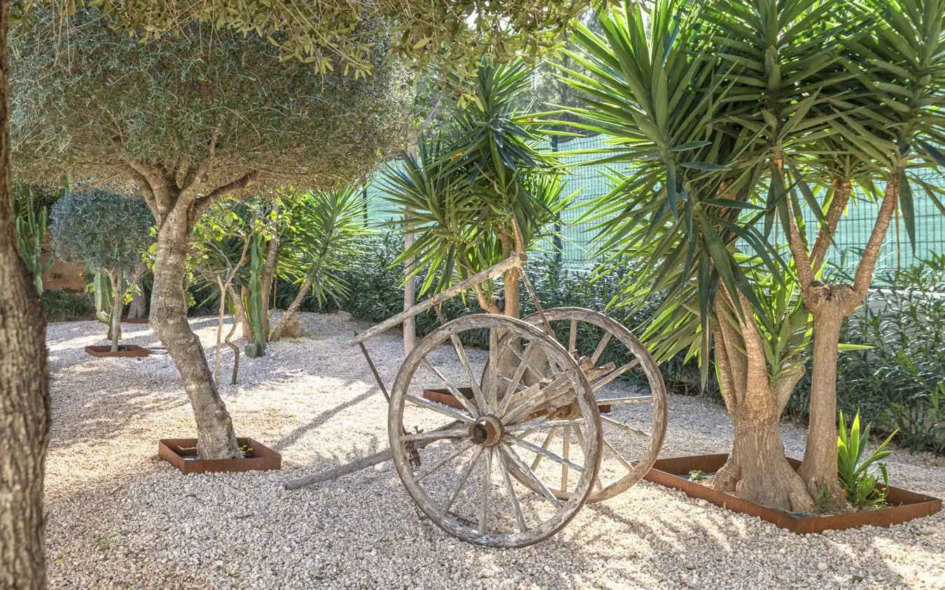 Casa rústica con piscina en venta en Santa Ponça, imagen 31