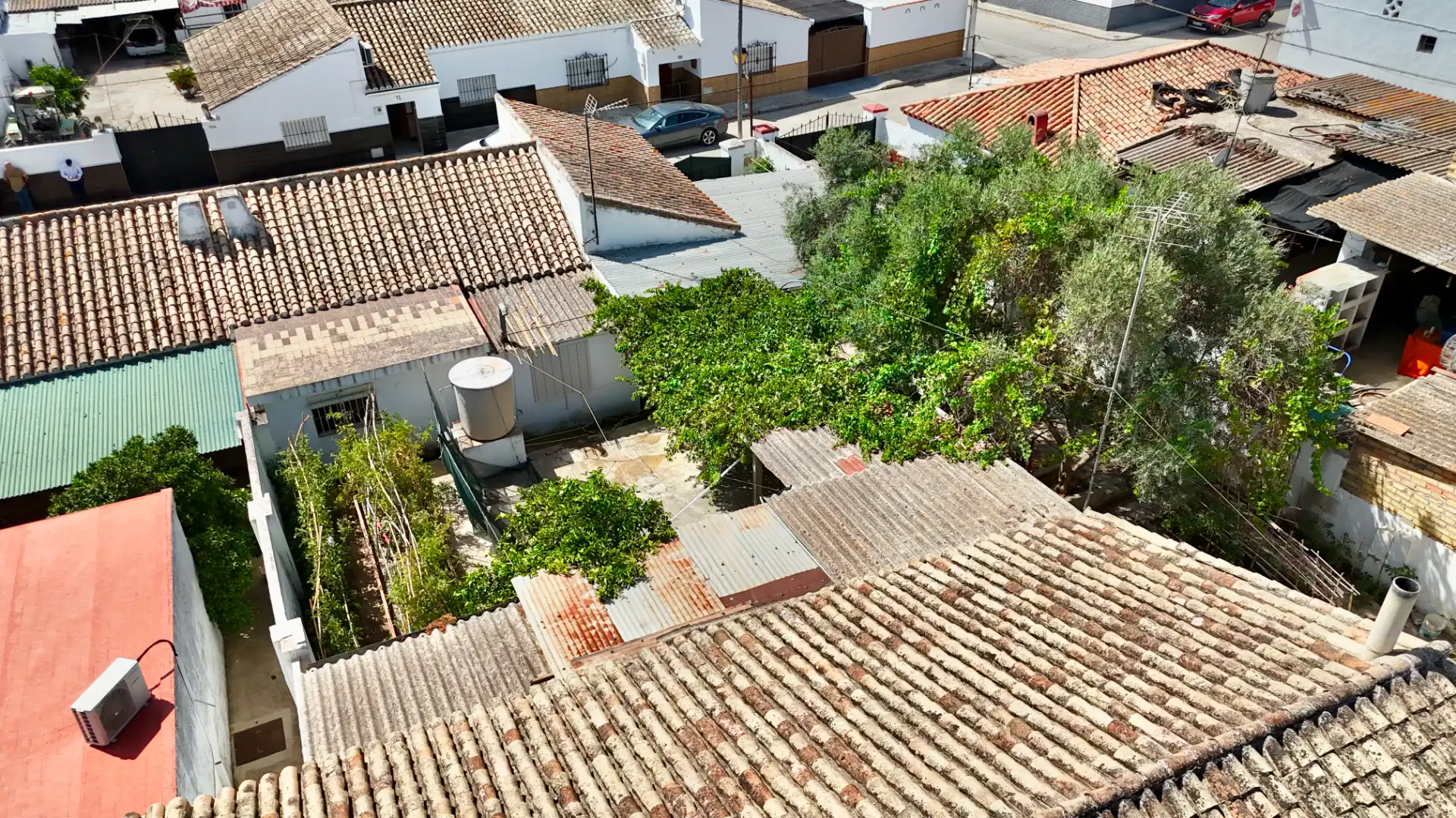 Vista exterior de Casa o xalet en venda en Bornos amb Aire condicionat, Jardí privat i Moblat