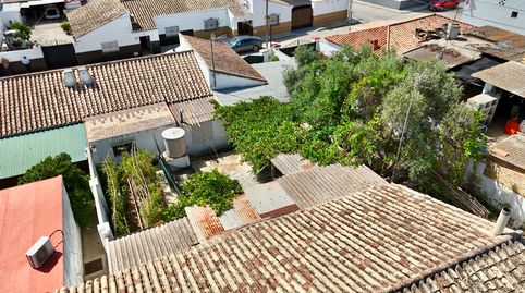 Casa de una planta con gran patio, huerto y garaje en Coto de Bornos, imatge 3