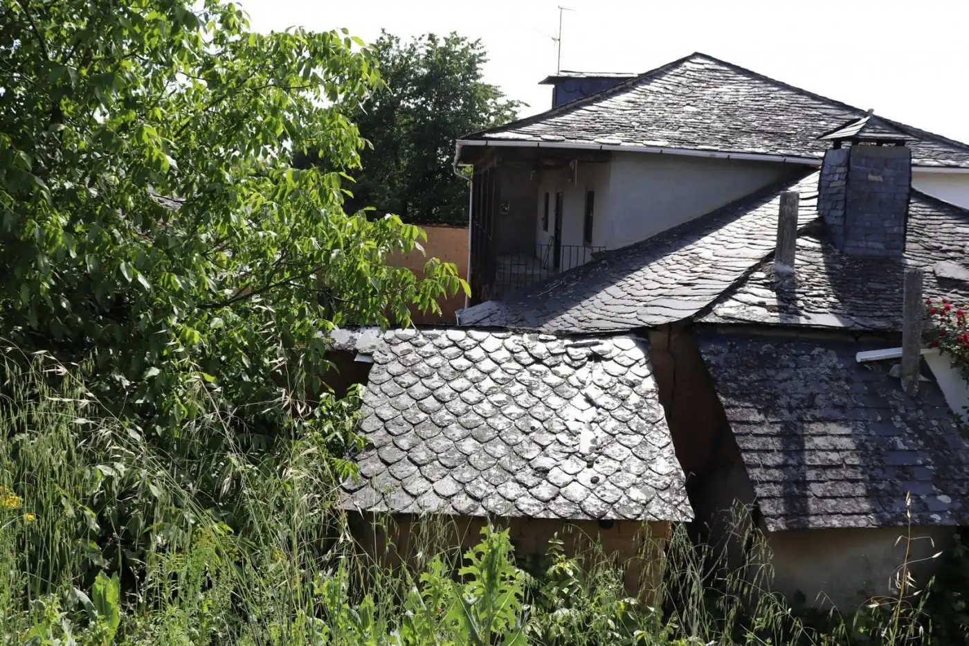 Vista exterior de Finca rústica en venta en Cabañas Raras con Terraza