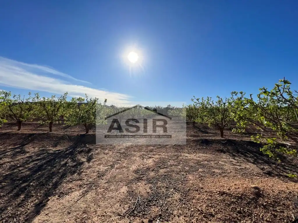Detached house for sale in Montroi / Montroy, imagen 41