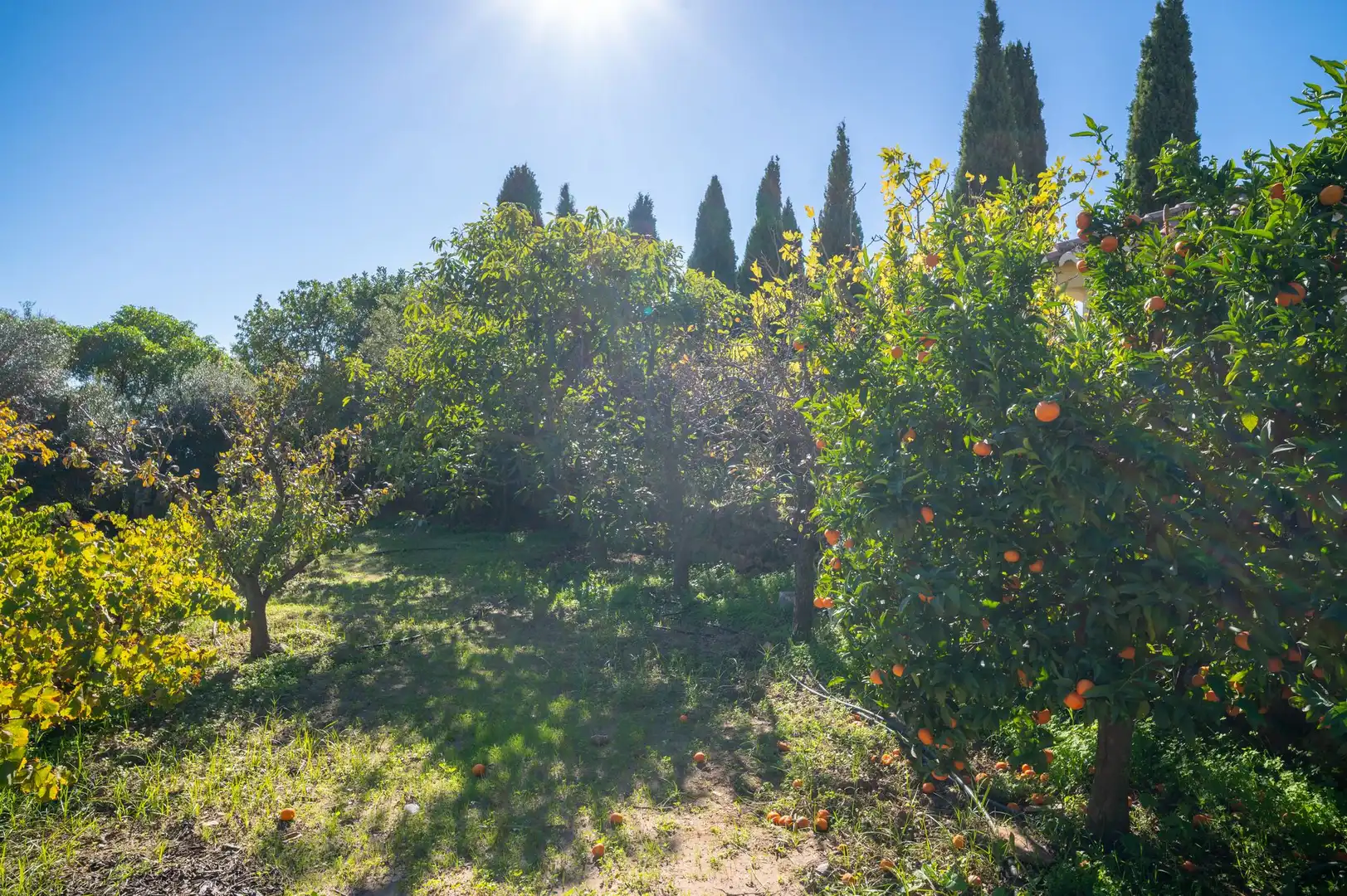 Casa o xalet en venda en Mijas amb Terrassa