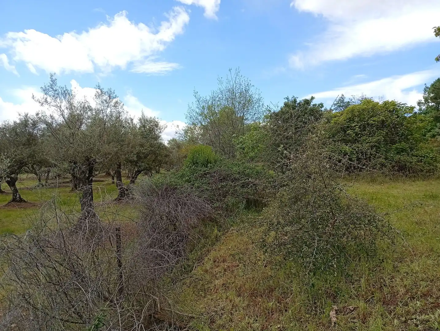 Terreni e lotti in vendita a Villanueva de la Vera, imagen 65
