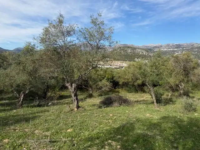 Land for sale in Ubrique