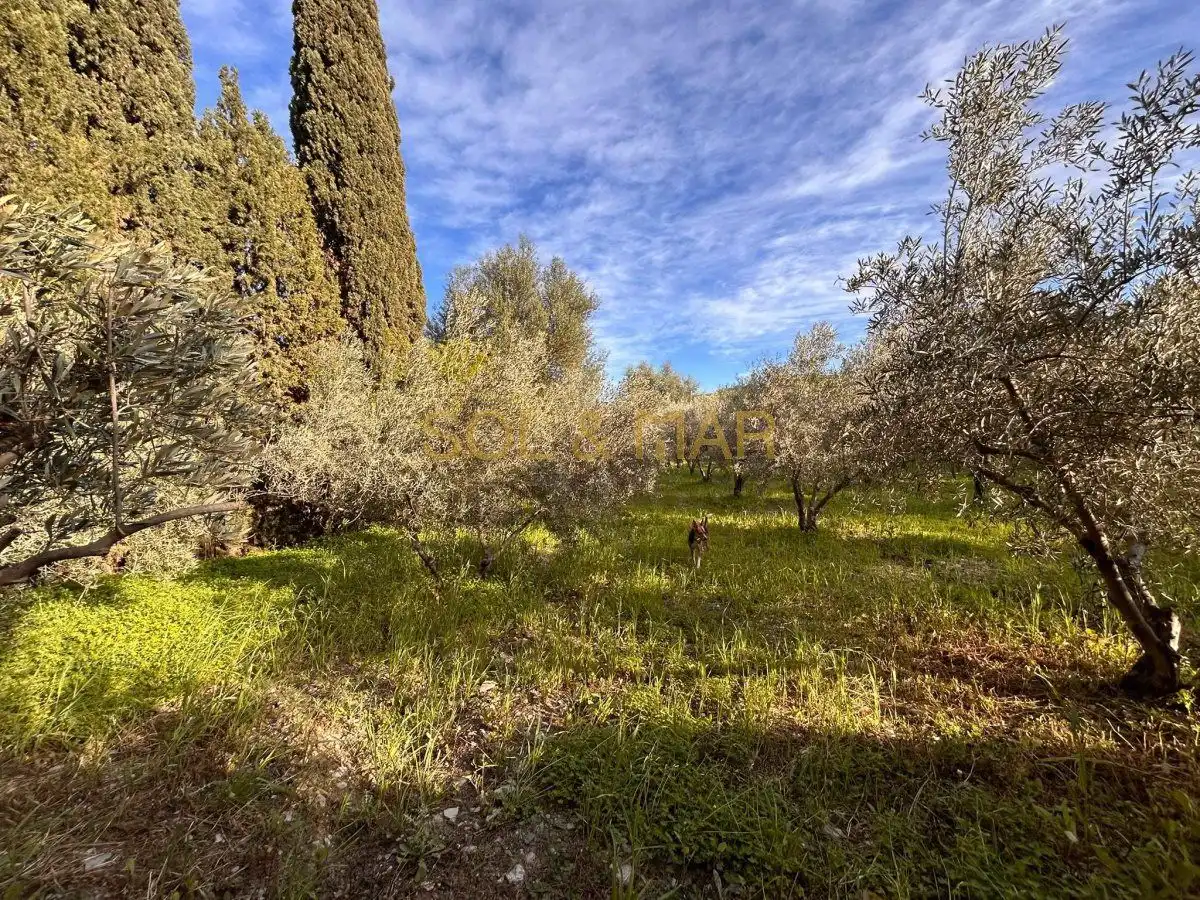 Casa rústica en venta en Nueva Aljaima - Las Tres Leguas - Los Mondeños, imagen 42