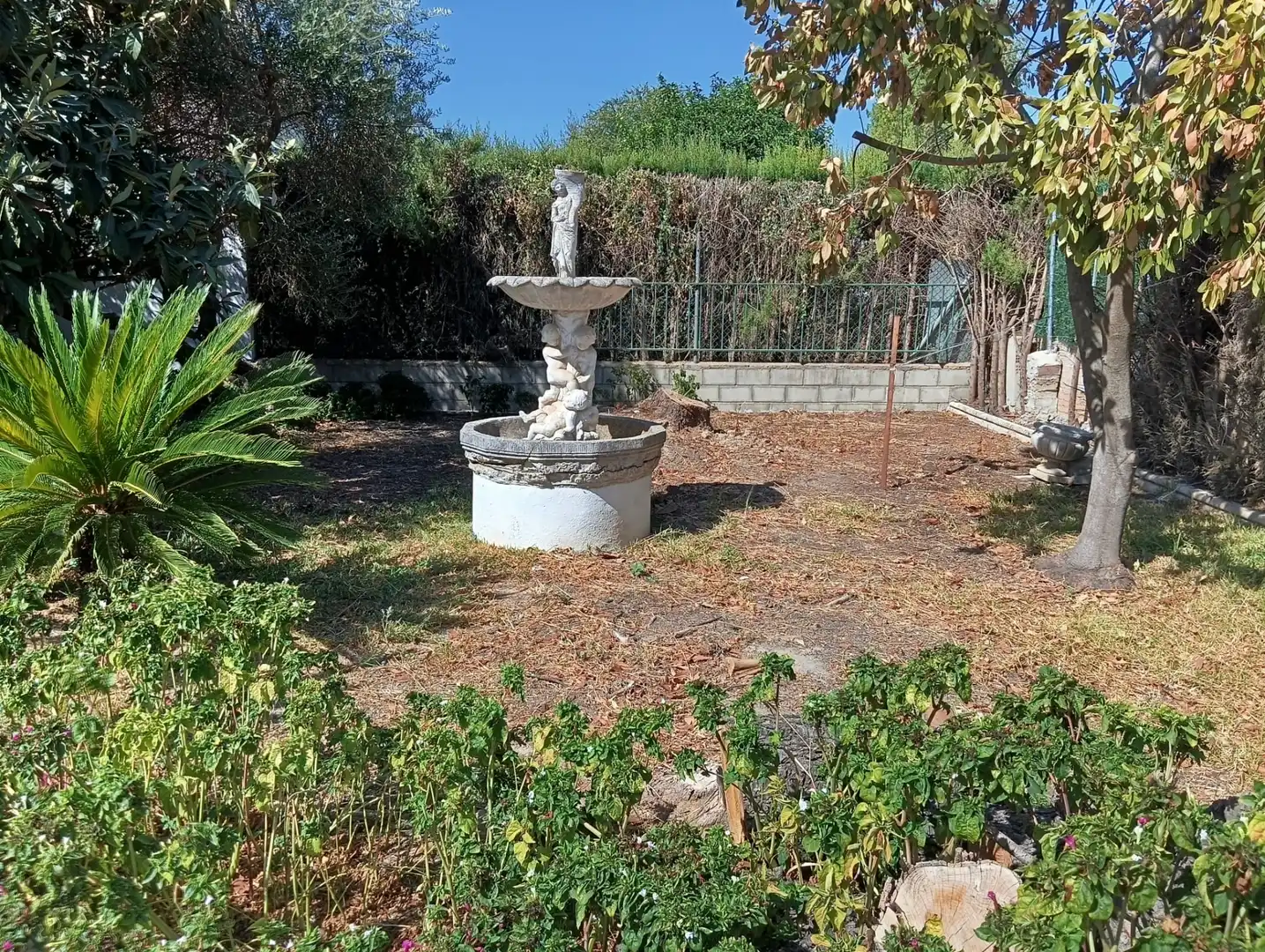 Jardín de Casa o chalet en venta en Cerro - Amate