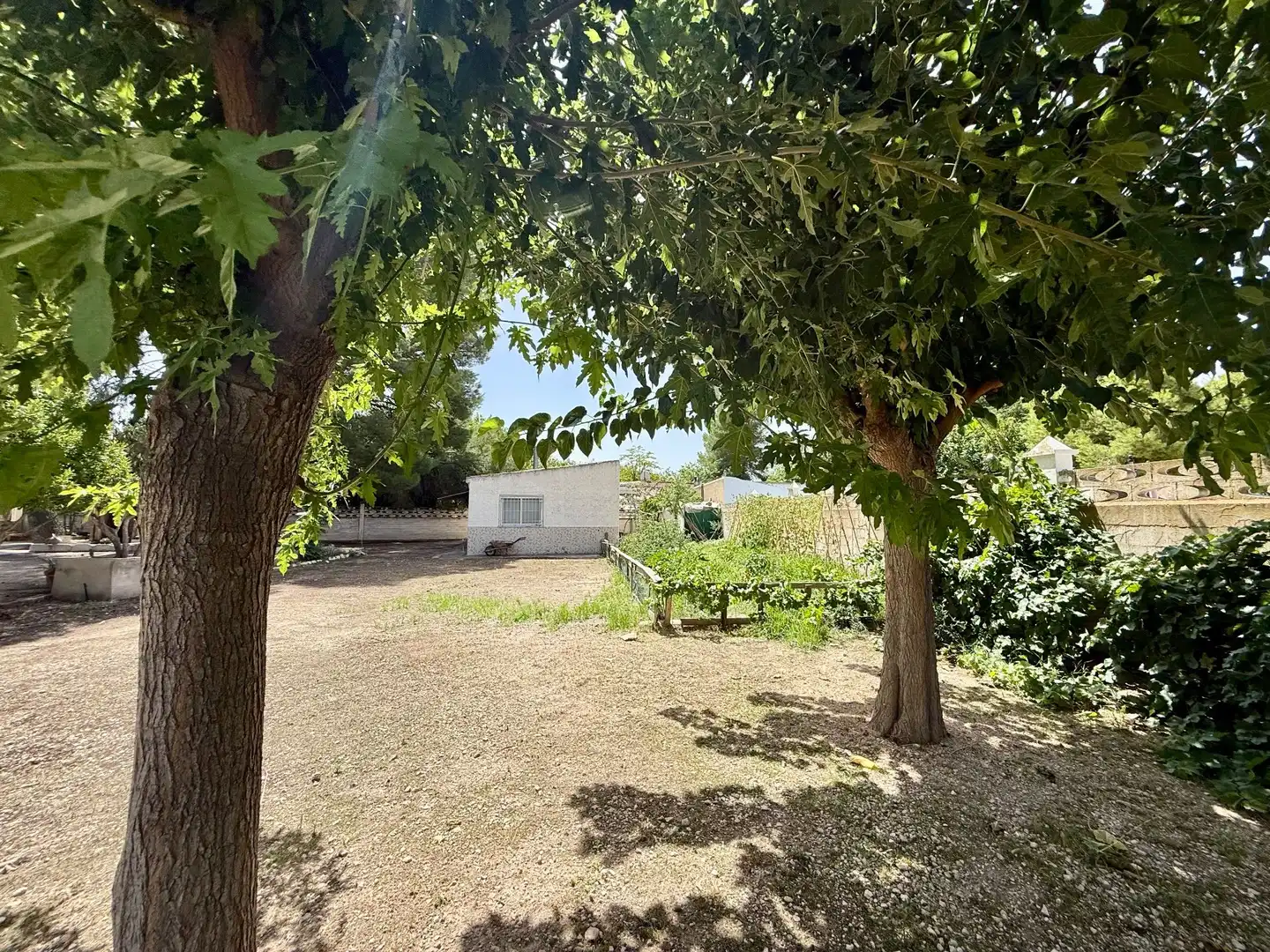 Jardín de Casa o chalet en venta en Villena con Calefacción, Jardín privado y Trastero