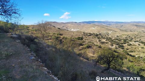 SE VENDE FINCA EN BENIZALÓN, imatge 2