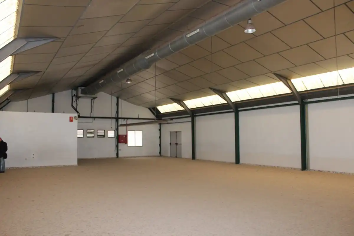 Nave industrial en alquiler en Elche ciudad, imagen 6