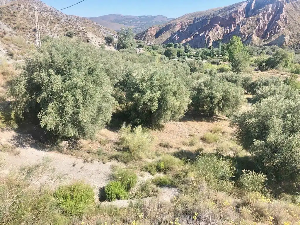 Terreni e lotti in vendita a Polígono Polígono 21 Parcela 10 EL CERRON UGIJAR (GRANADA, imagen 15