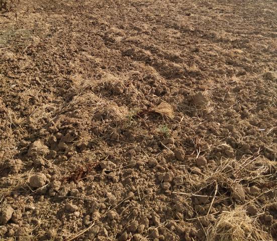 Terreno en Venta en Calle Huerta en Rollán