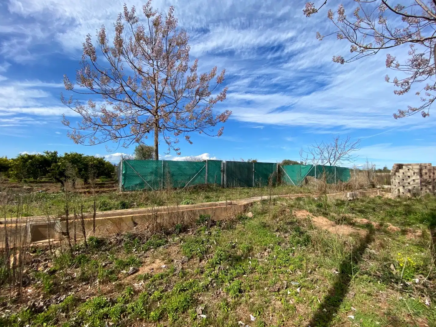 Terreno en venta en Vila-real
