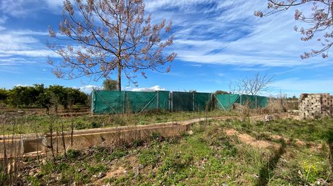 Foto 5 de Terreno en venta en Camí del Sedre, Cariñena - Carinyena, Vila-real