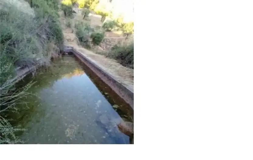 Terreno rustico in vendita a Los Guájares, imagen 2