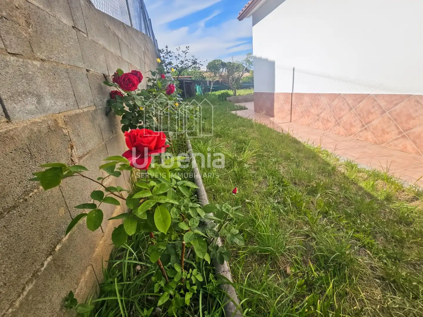Haus zum Verkauf in Niàgara Parc - Àgora Parc, imagen 6