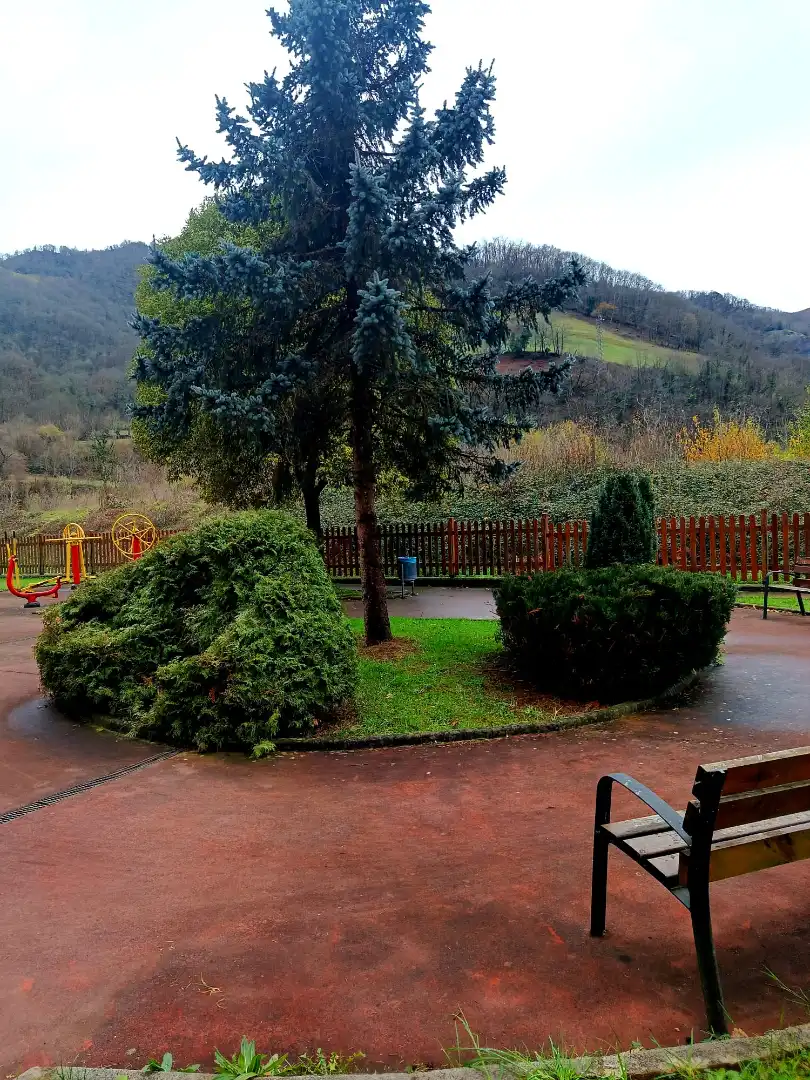 Jardín de Piso en venta en Aller con Calefacción, Trastero y Amueblado