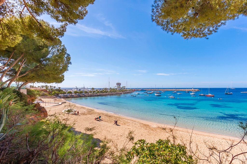 Vista exterior de Apartament en venda en Calvià amb Aire condicionat, Jardí privat i Terrassa
