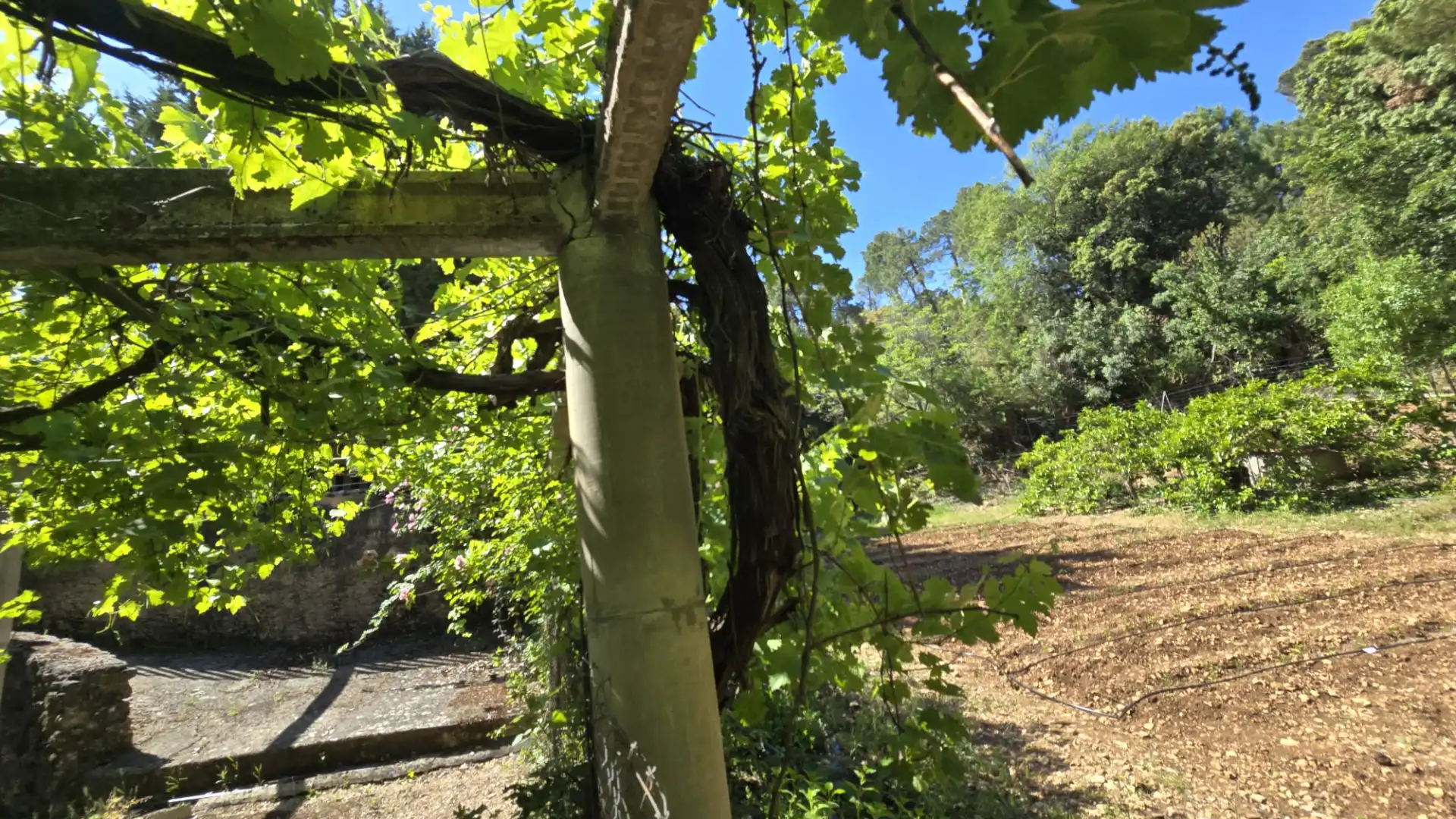 Jardín de Finca rústica en venta en Villanueva del Arzobispo con Calefacción, Trastero y Piscina