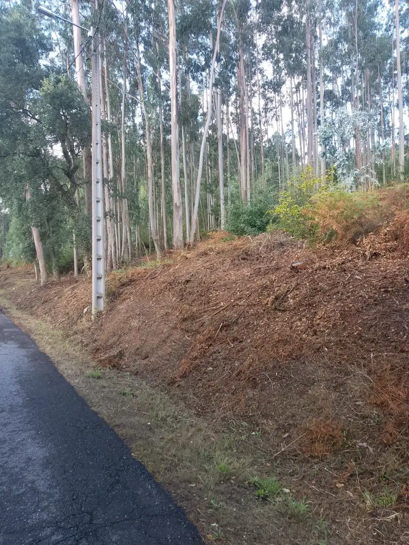 Terreno rustico in vendita a Meis, imagen 7