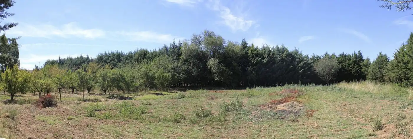 Maison à vendre à Grijota, imagen 32