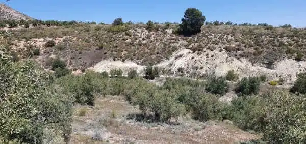 Terrenos y solares en venta en Úbeda, imagen 3