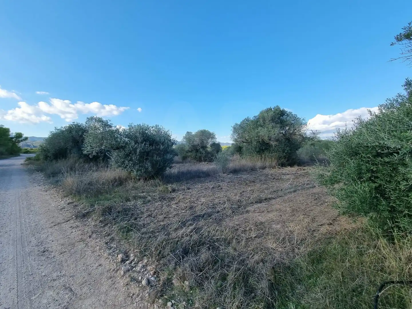 Grundstücke und Bauplätze zum Verkauf in poligono 14 parcela 31 Ginestar, imagen 16