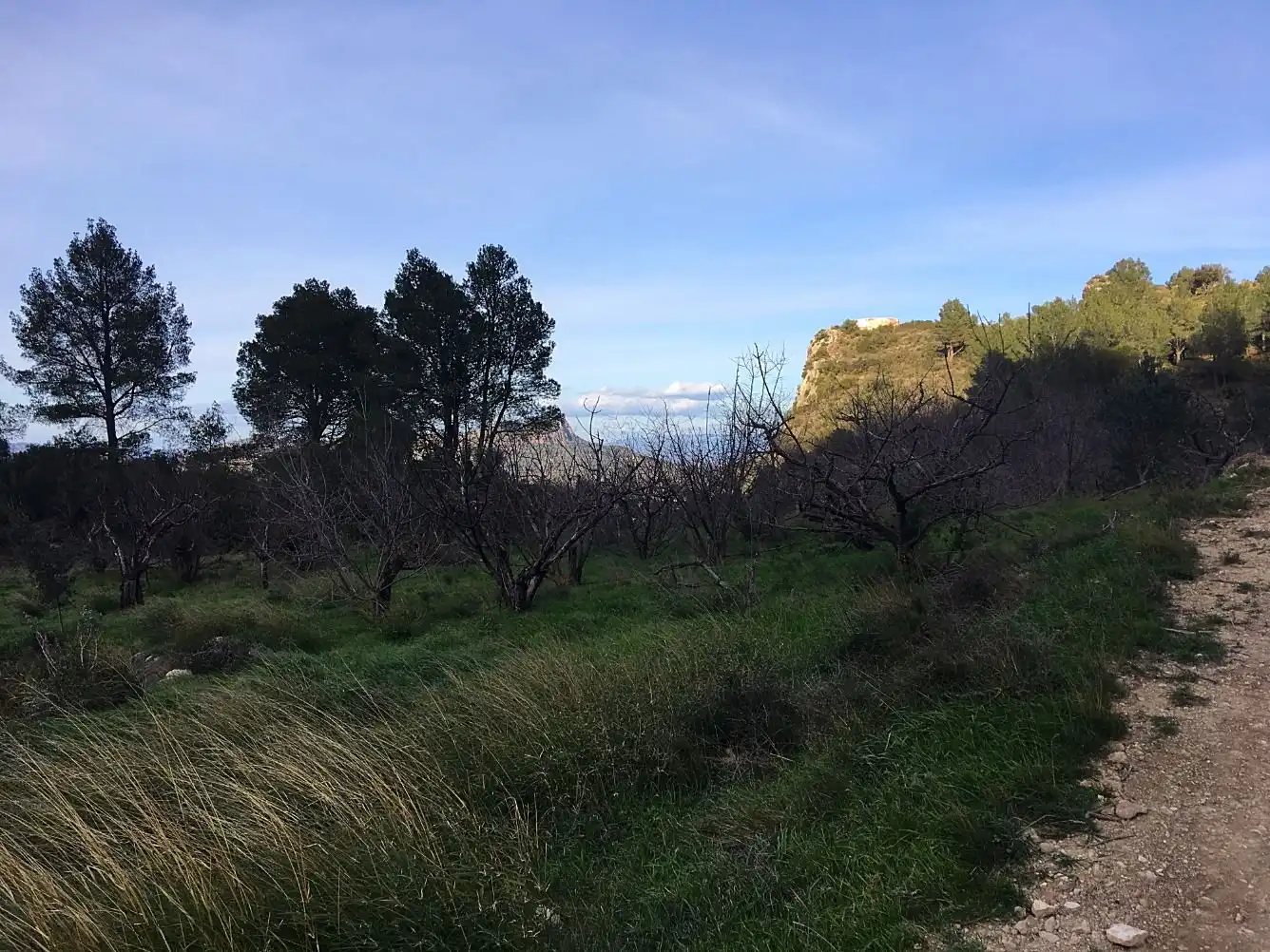 Country house for sale in Benifallet, imagen 56