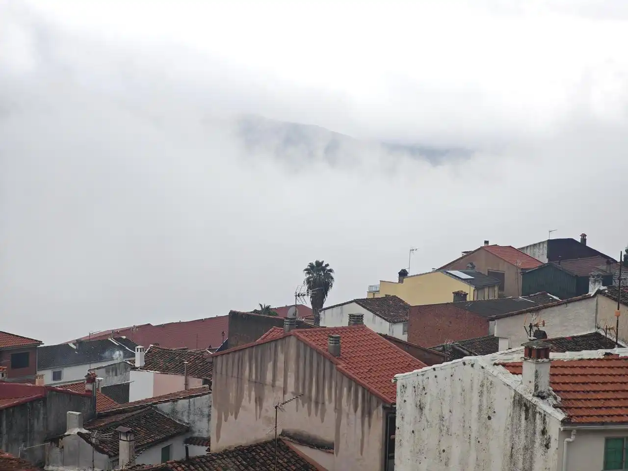 Pis en venda a mirasol, imagen 5