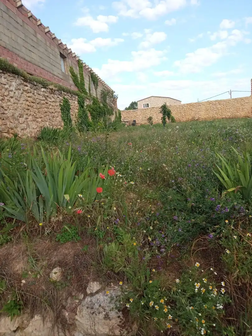 Terreni e lotti in vendita a Calamocha, imagen 6