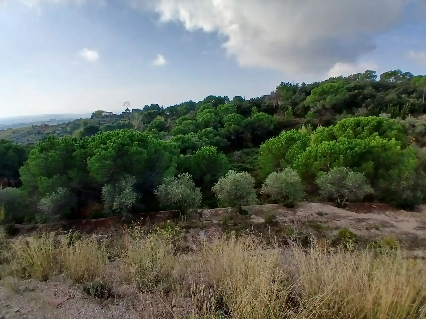Terrain rustique à vendre à Avinguda Mirador 57, imagen 3