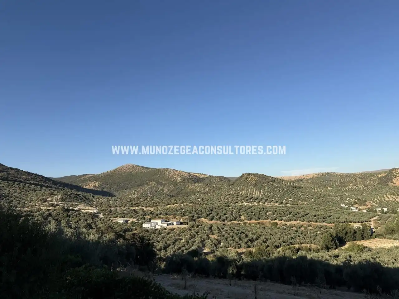 Jardí de Finca rústica de lloguer en Cabra amb Piscina