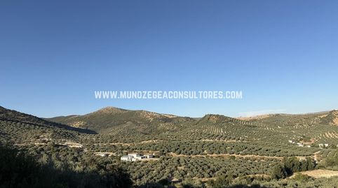 Foto 3 de Finca rústica de lloguer a Cortijo la Cuesta, Cabra, Córdoba